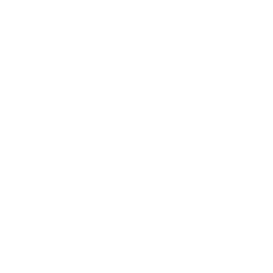 Empowered Words Fiction Coach_Logo_White_Transparent
